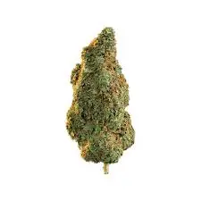 BLUE DREAM | HYBRID